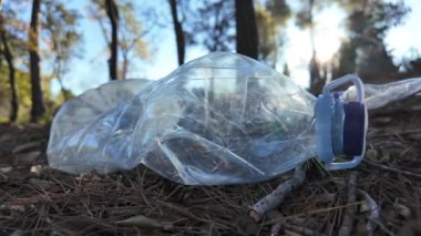 Doğadaki ormanda plastik şişeler