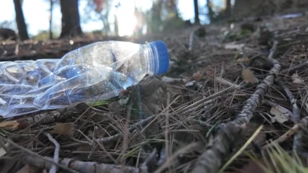 Doğadaki Ormanda Plastik Şişeler — Stok video