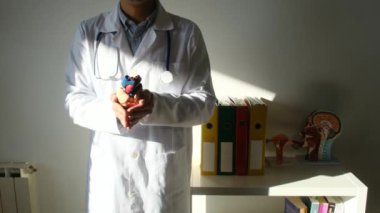 Doktor kalp modelini hastanede elinde tutuyor, sağlık ve sağlık hizmetleri konsepti