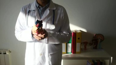 Doktor kalp modelini hastanede elinde tutuyor, sağlık ve sağlık hizmetleri konsepti
