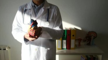 Doktor kalp modelini hastanede elinde tutuyor, sağlık ve sağlık hizmetleri konsepti