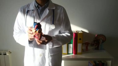 Doktor kalp modelini hastanede elinde tutuyor, sağlık ve sağlık hizmetleri konsepti