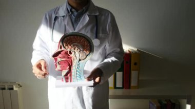 İnsan başlı erkek doktor hastanede.