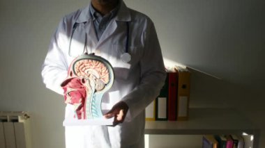 İnsan başlı erkek doktor hastanede.