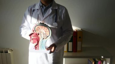 İnsan başlı erkek doktor hastanede.