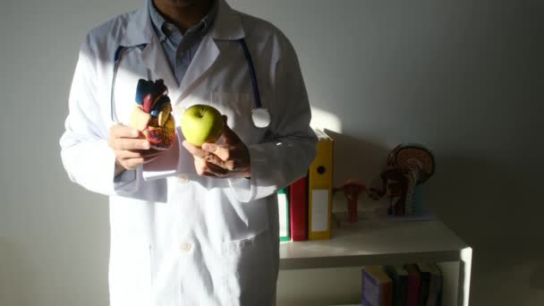 Lekarz Prowadzący Model Serca Jabłko Szpitalu Koncepcja Medyczna Zdrowotna — Wideo stockowe