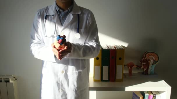 Lekarz Trzymający Rękach Model Serca Koncepcji Szpitala Medycyny Opieki Zdrowotnej — Wideo stockowe