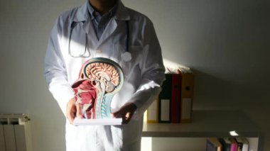 İnsan başlı erkek doktor hastanede.