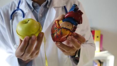 Doktor kalp modeli, elma ve mezurayı hastane, sağlık ve sağlık hizmetleri konseptinde tutuyor.