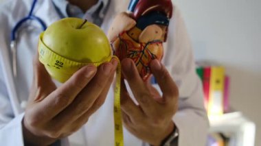 Doktor kalp modeli, elma ve mezurayı hastane, sağlık ve sağlık hizmetleri konseptinde tutuyor.