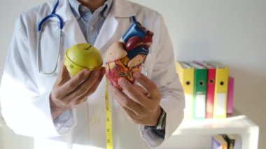 Doktor kalp modeli, elma ve mezurayı hastane, sağlık ve sağlık hizmetleri konseptinde tutuyor.