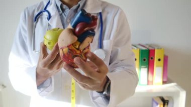 Doktor kalp modeli, elma ve mezurayı hastane, sağlık ve sağlık hizmetleri konseptinde tutuyor.