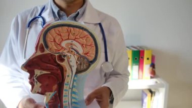 İnsan başlı erkek doktor hastanede.