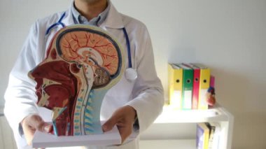 İnsan başlı erkek doktor hastanede.