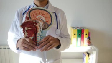 İnsan başlı erkek doktor hastanede.