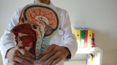 İnsan başlı erkek doktor hastanede.