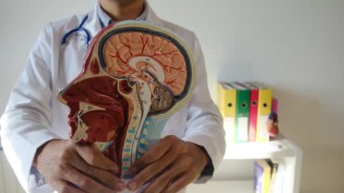 İnsan başlı erkek doktor hastanede.