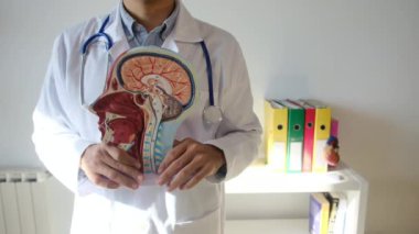 İnsan başlı erkek doktor hastanede.