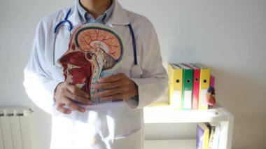 İnsan başlı erkek doktor hastanede.