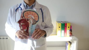 İnsan başlı erkek doktor hastanede.