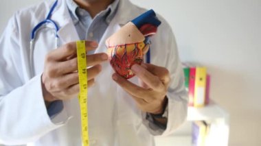 Doktor kalp modelini tutuyor ve hastane, sağlık ve sağlık hizmetleri konseptinde şerit ölçüyor.