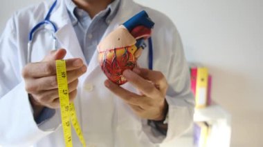 Doktor kalp modelini tutuyor ve hastane, sağlık ve sağlık hizmetleri konseptinde şerit ölçüyor.