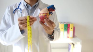 Doktor kalp modelini tutuyor ve hastane, sağlık ve sağlık hizmetleri konseptinde şerit ölçüyor.