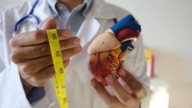 Doktor kalp modelini tutuyor ve hastane, sağlık ve sağlık hizmetleri konseptinde şerit ölçüyor.