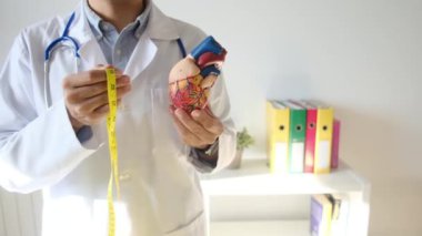 Doktor kalp modelini tutuyor ve hastane, sağlık ve sağlık hizmetleri konseptinde şerit ölçüyor.