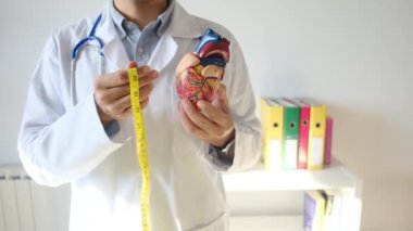 Doktor kalp modelini tutuyor ve hastane, sağlık ve sağlık hizmetleri konseptinde şerit ölçüyor.