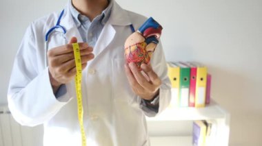 Doktor kalp modelini tutuyor ve hastane, sağlık ve sağlık hizmetleri konseptinde şerit ölçüyor.