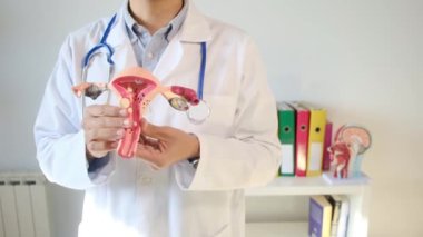 Doktor rahim modelini klinikte tutuyor.
