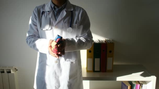 Lekarz Trzymający Rękach Model Serca Koncepcji Szpitala Medycyny Opieki Zdrowotnej — Wideo stockowe