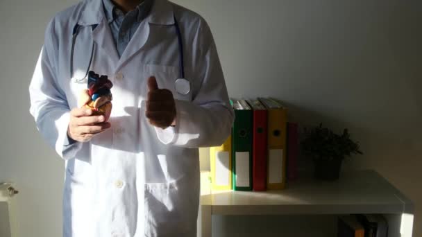 Lekarz Prowadzący Model Serca Wykazujący Kciuk Koncepcji Szpitala Medycyny Opieki — Wideo stockowe