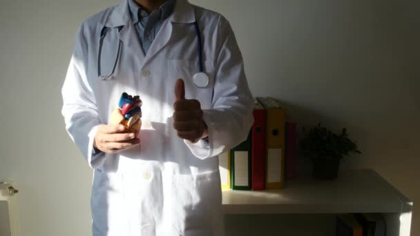 Lekarz Prowadzący Model Serca Wykazujący Kciuk Koncepcji Szpitala Medycyny Opieki — Wideo stockowe