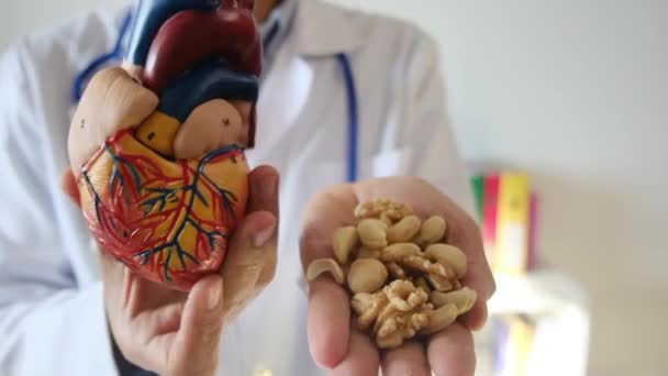 Lékař Drží Srdeční Model Ořechy Rukou Nemocnici Lékařské Zdravotní Koncepce — Stock video