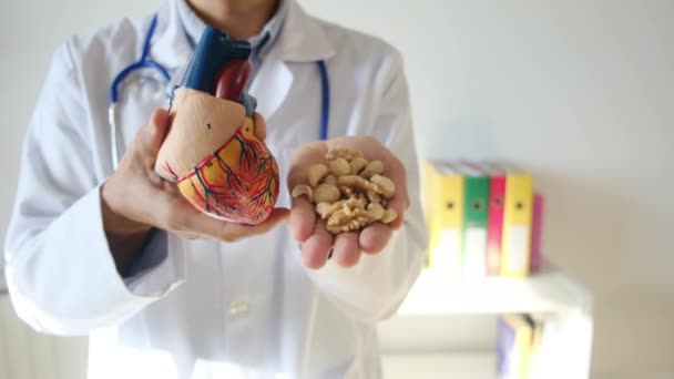 ヘルスケアのコンセプトで心臓モデルとナッツを握っている医師 — ストック動画