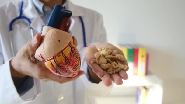 Arzt Mit Herzmodell Und Nüssen Den Händen Krankenhaus Medizinisches Und — Stockvideo