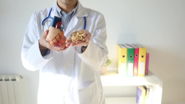 Lekarz Trzymający Model Serca Orzechy Rękach Koncepcji Szpitala Medycyny Opieki — Wideo stockowe