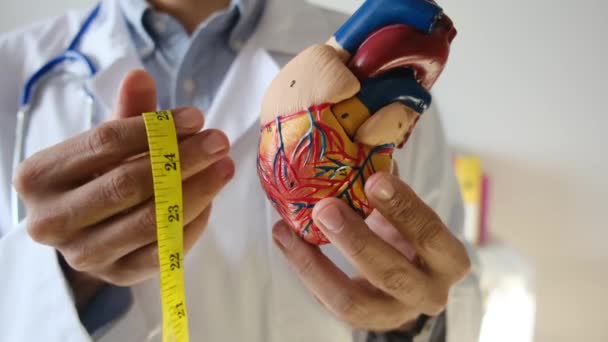 持有医院 医疗及医护概念的心脏模型及测量带的医生 — 图库视频影像