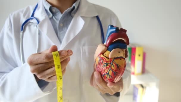 ヘルスケアのコンセプトで心臓モデルと測定テープを保持している医師 — ストック動画