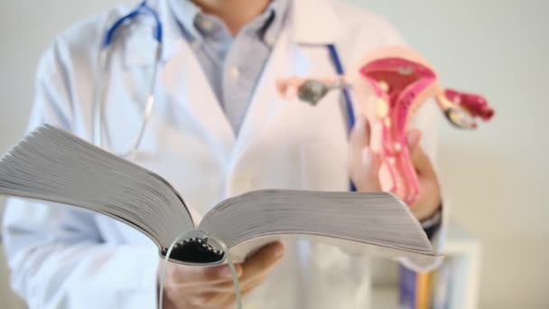 Γιατρός Κρατώντας Μοντέλο Μήτρας Και Βιβλίο Στην Κλινική — Αρχείο Βίντεο