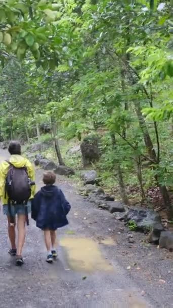 秋の公園で息子と散歩する母 — ストック動画