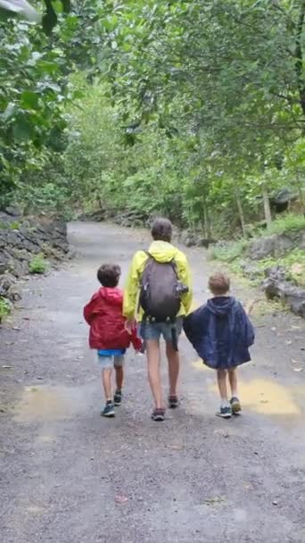 Genç Yürüyüş Meraklılarıyla Güneşli Mevsimlerin Tadını Çıkarın Oğullarıyla Dağlarda Yürüyüş — Stok video
