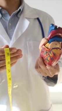 Doktor kalp modelini tutuyor ve hastane, sağlık ve sağlık hizmetleri konseptinde şerit ölçüyor.
