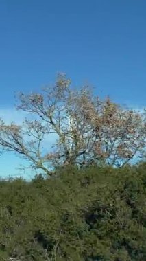 Tarlada rüzgar türbiniyle kırsal alanda araba sürmek 