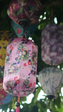 Şehirdeki ağaçta renkli fenerler 