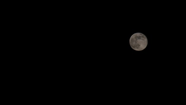 Pełnia Księżyca Nocnym Niebie Astronomia — Wideo stockowe