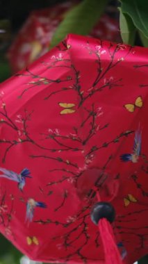 Şehirdeki ağaçta renkli fenerler 