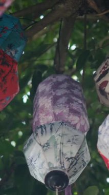 Şehirdeki ağaçta renkli fenerler 